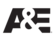 Station logo for A&E